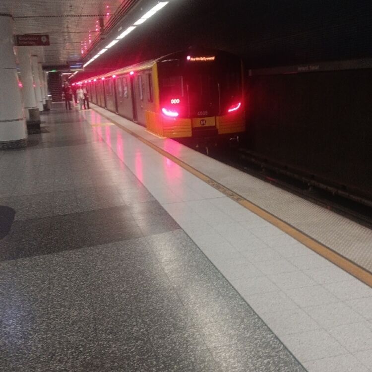 Foto de perfil de Medo