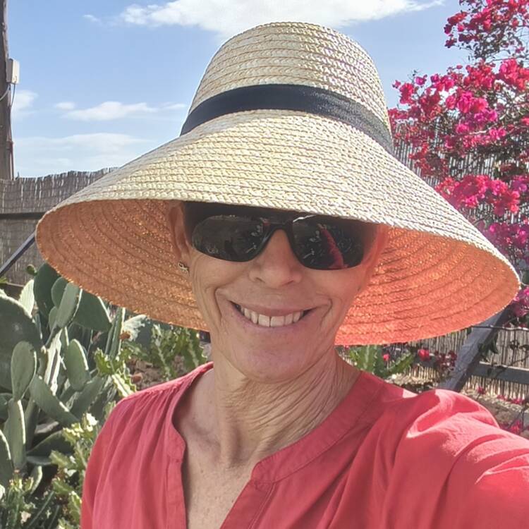 Foto de perfil de Elsa