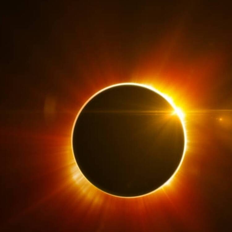 Foto de perfil de Luna