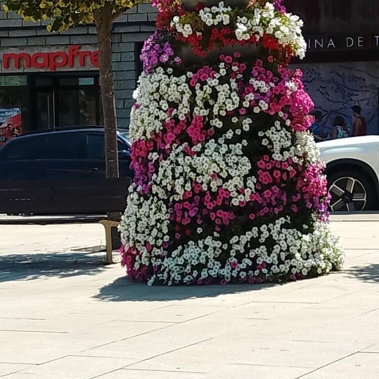 Foto de perfil de Maria