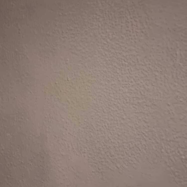 Foto de perfil de Jesus