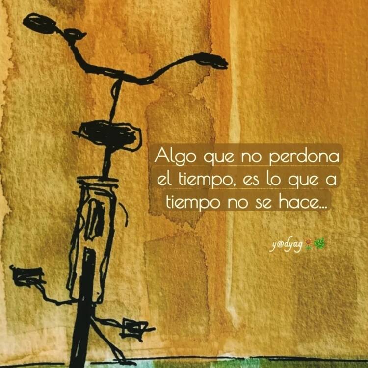 Foto de perfil de Jorge