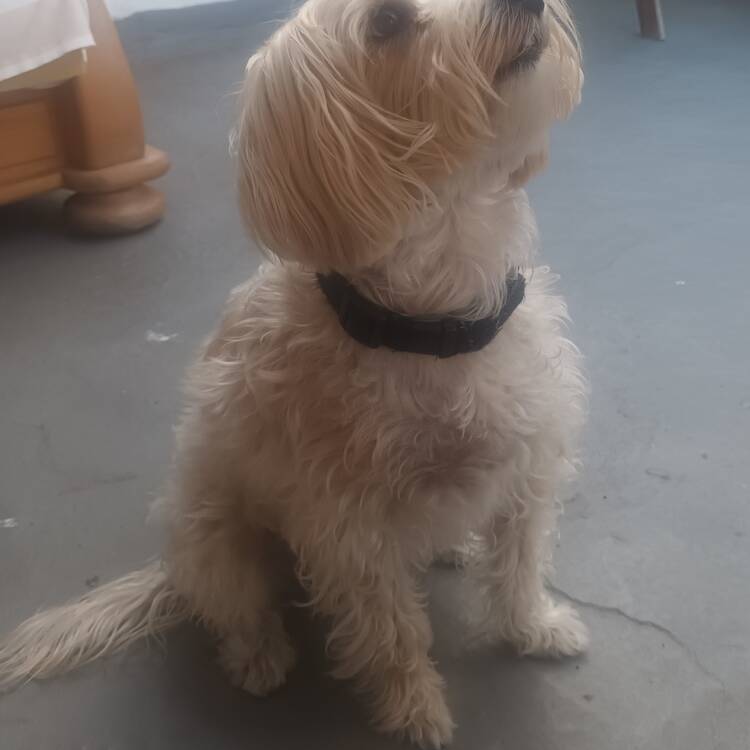 Foto de perfil de Armand
