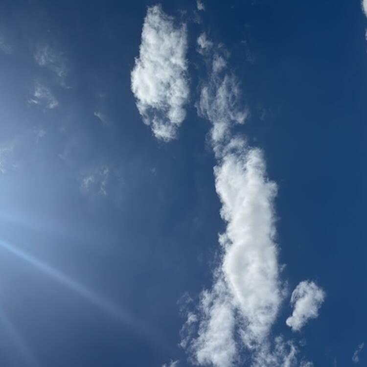 Foto de perfil de Carlos