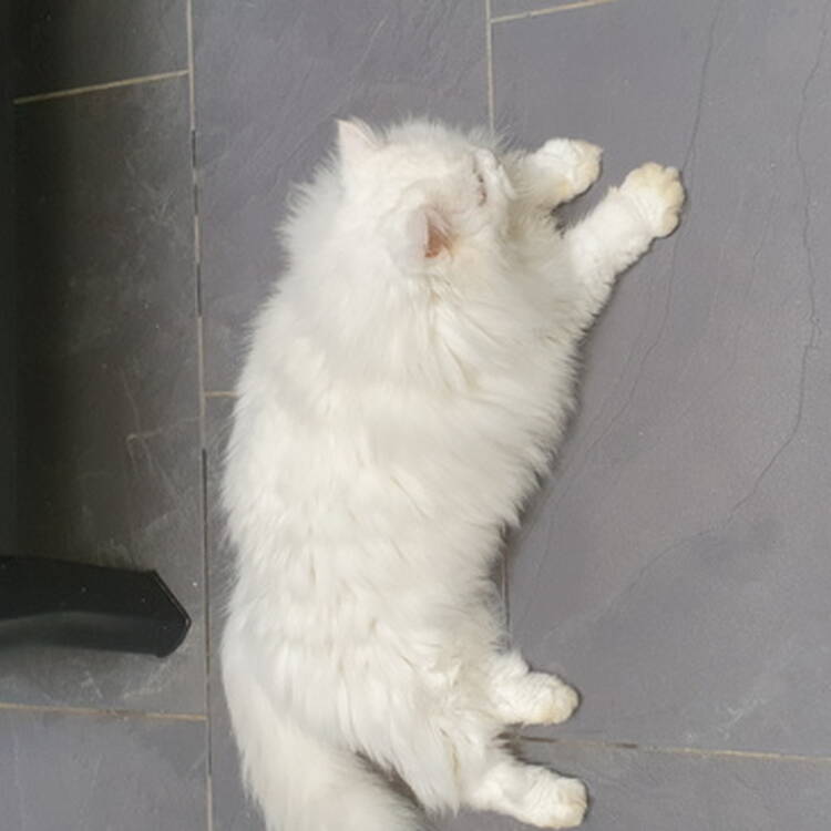 Foto de perfil de Pilar