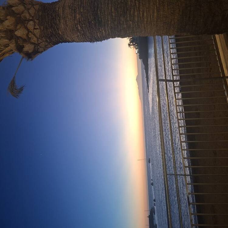 Foto de perfil de Hortensia