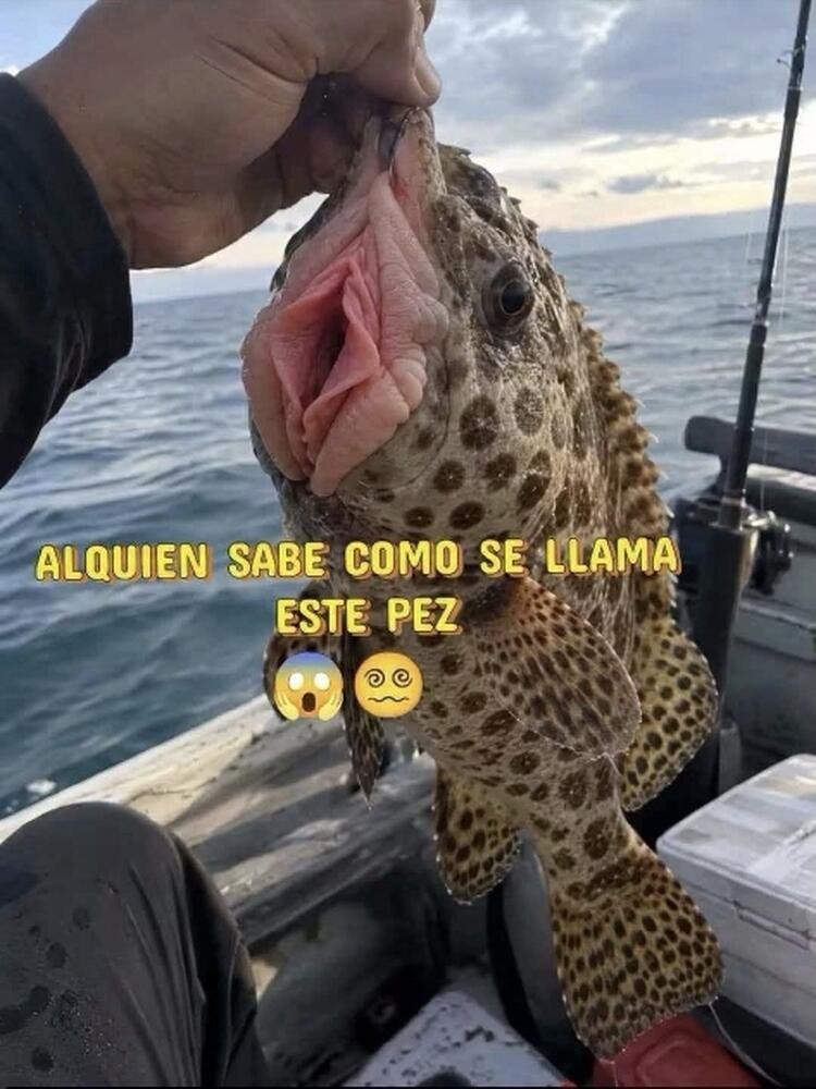 Foto de perfil de Danny