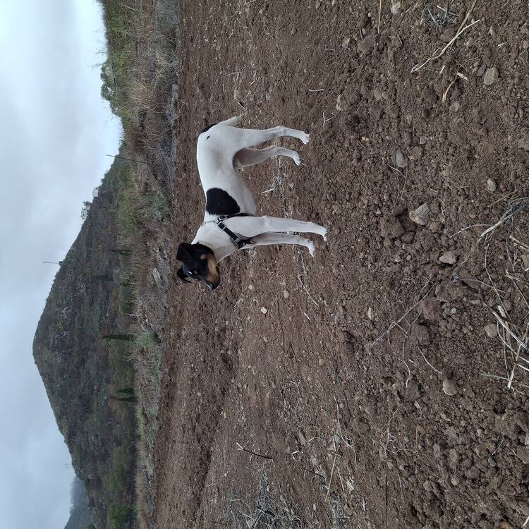 Foto de perfil de Carlos