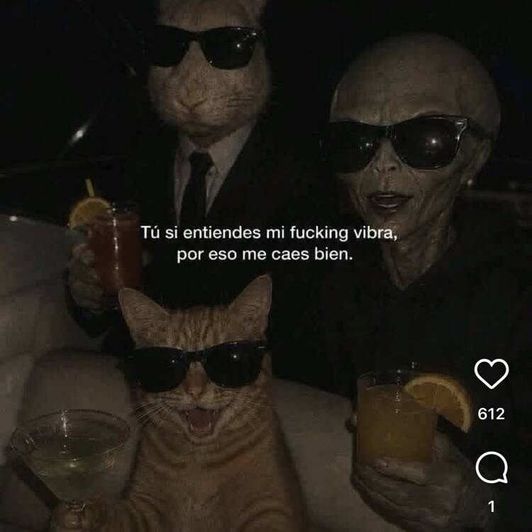Foto de perfil de Dani
