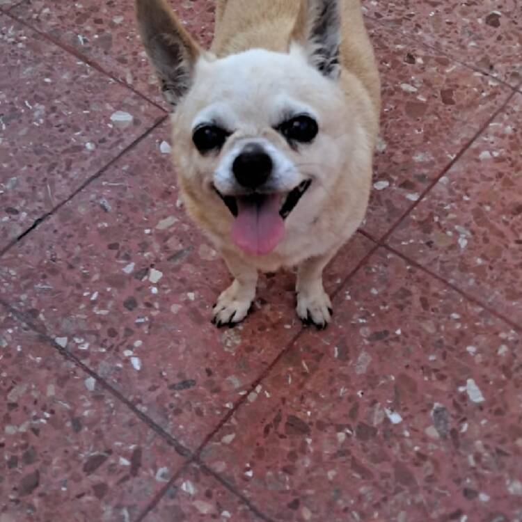 Foto de perfil de Dani